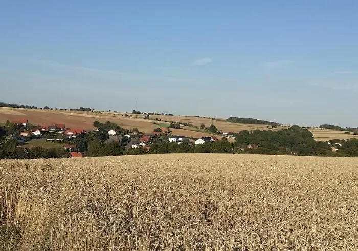 Daire Monteurwohnung Pusteblume